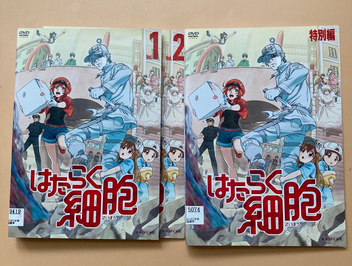 はたらく細胞 2巻(vol 1〜2) 特別編 1巻 全3巻セット 管理番号21218