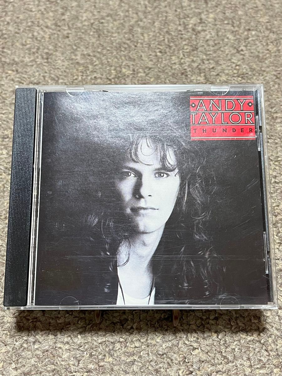 超レアCD アーケイディア／アンディテイラー｜Yahoo!フリマ（旧