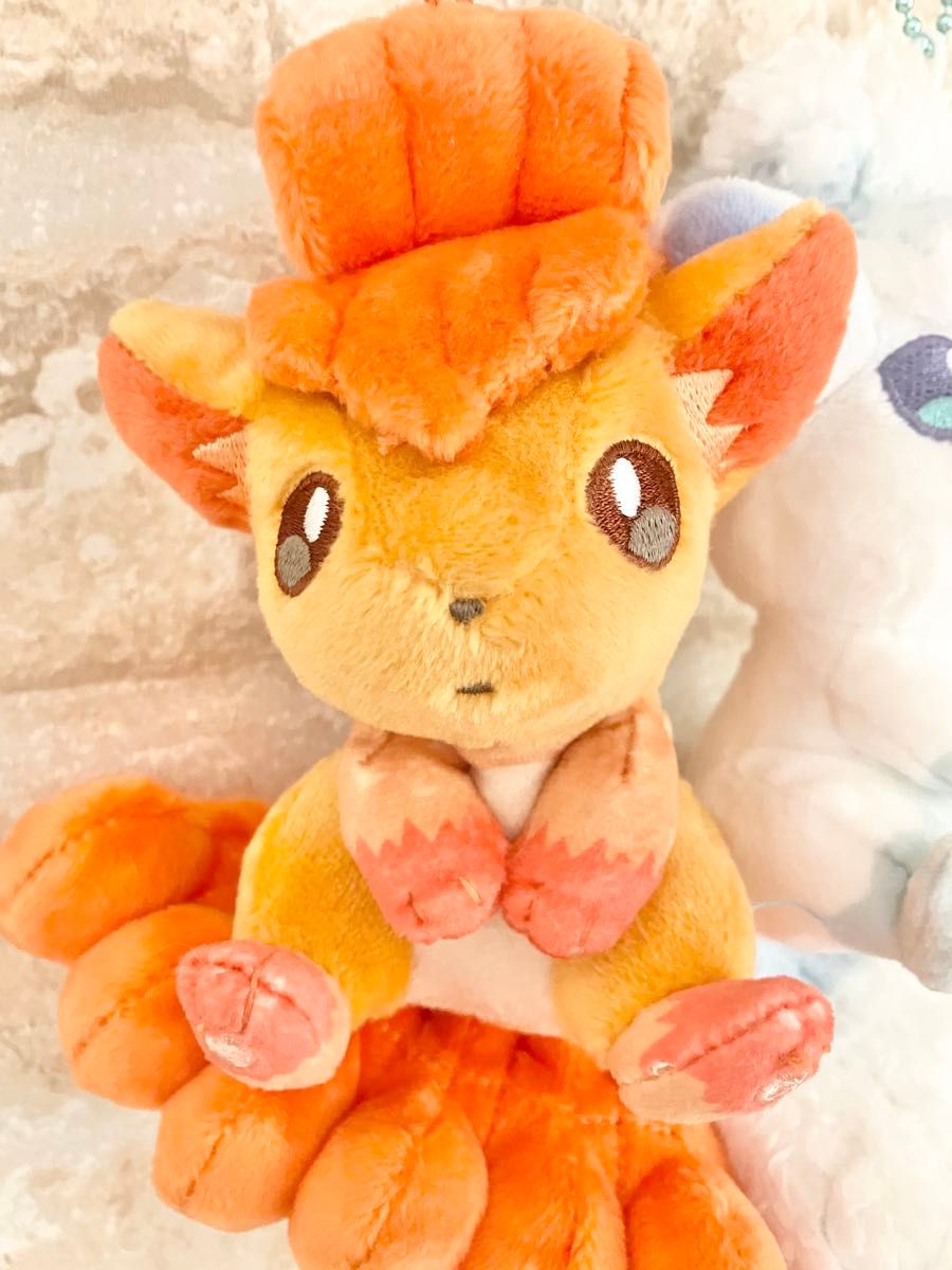 タグ付き ポケモンセンター限定 にたものどうし ロコン＆アローラ