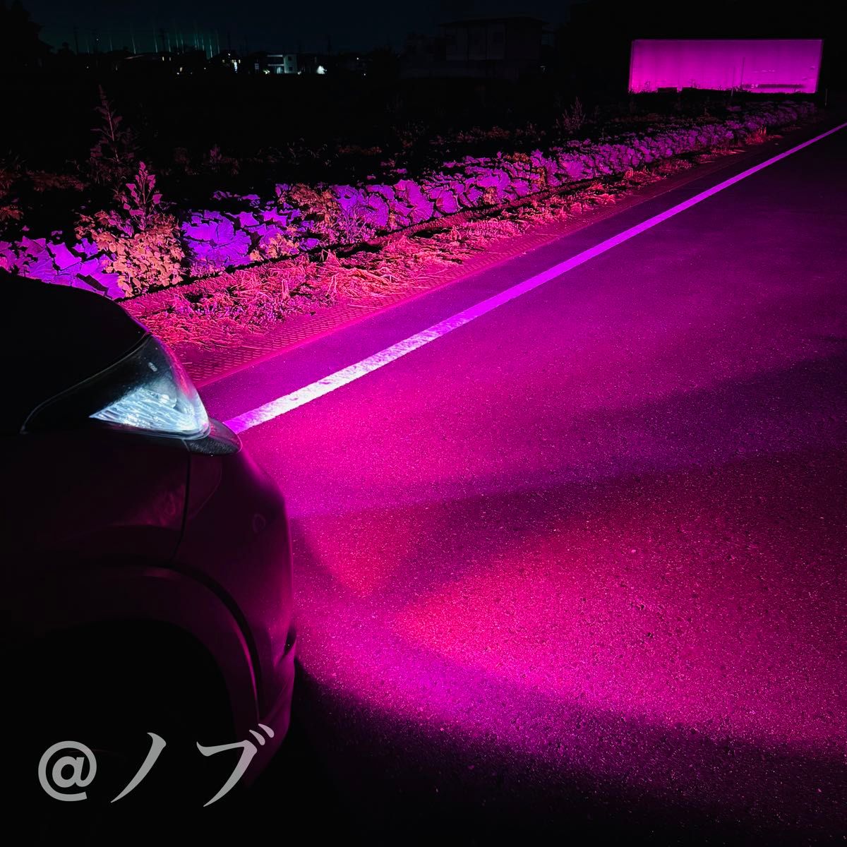 新登場 30000lm H8/H11/H16ピンクパープルフォグランプ｜Yahoo!フリマ