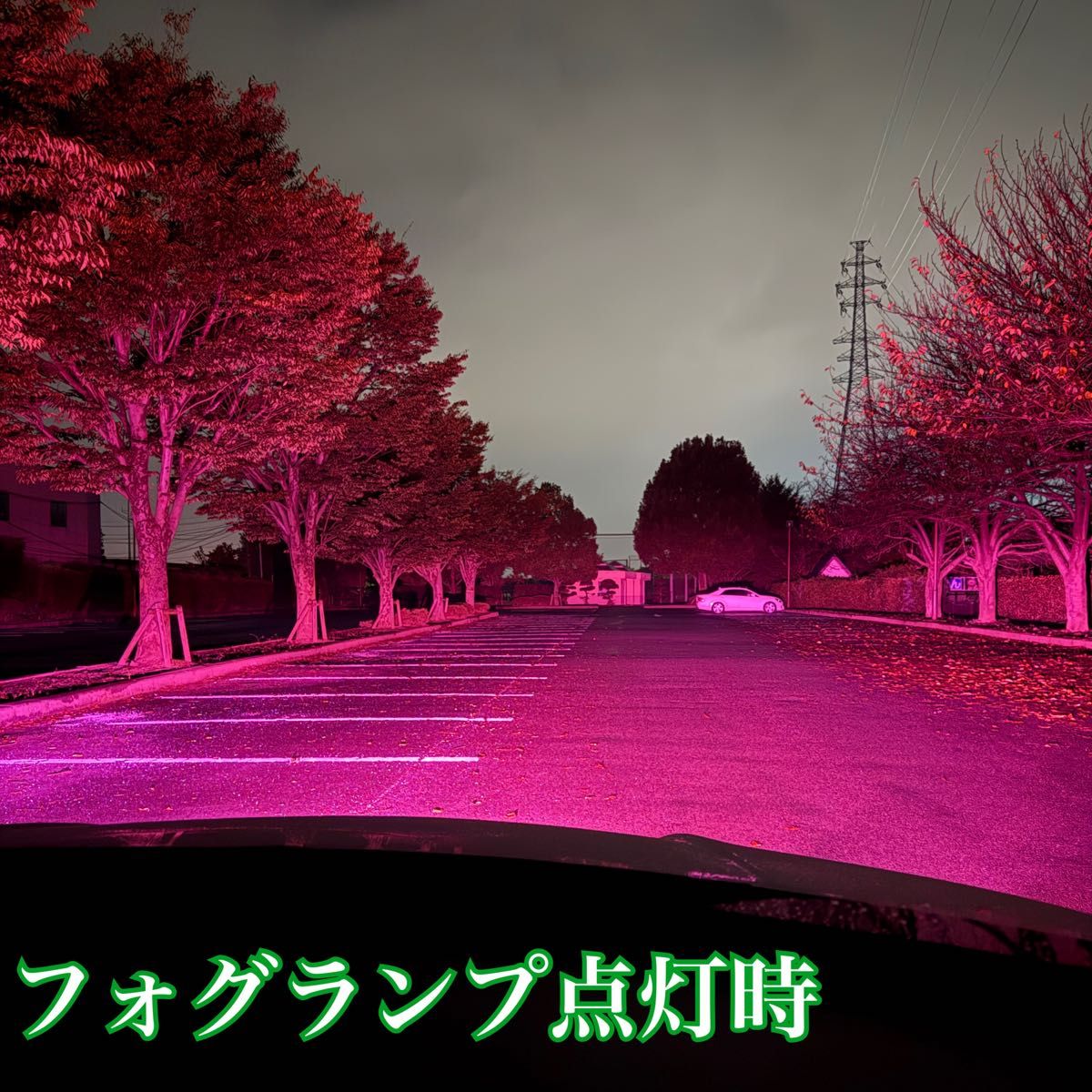 新登場 30000lm H8/H11/H16ピンクパープルフォグランプ｜Yahoo!フリマ