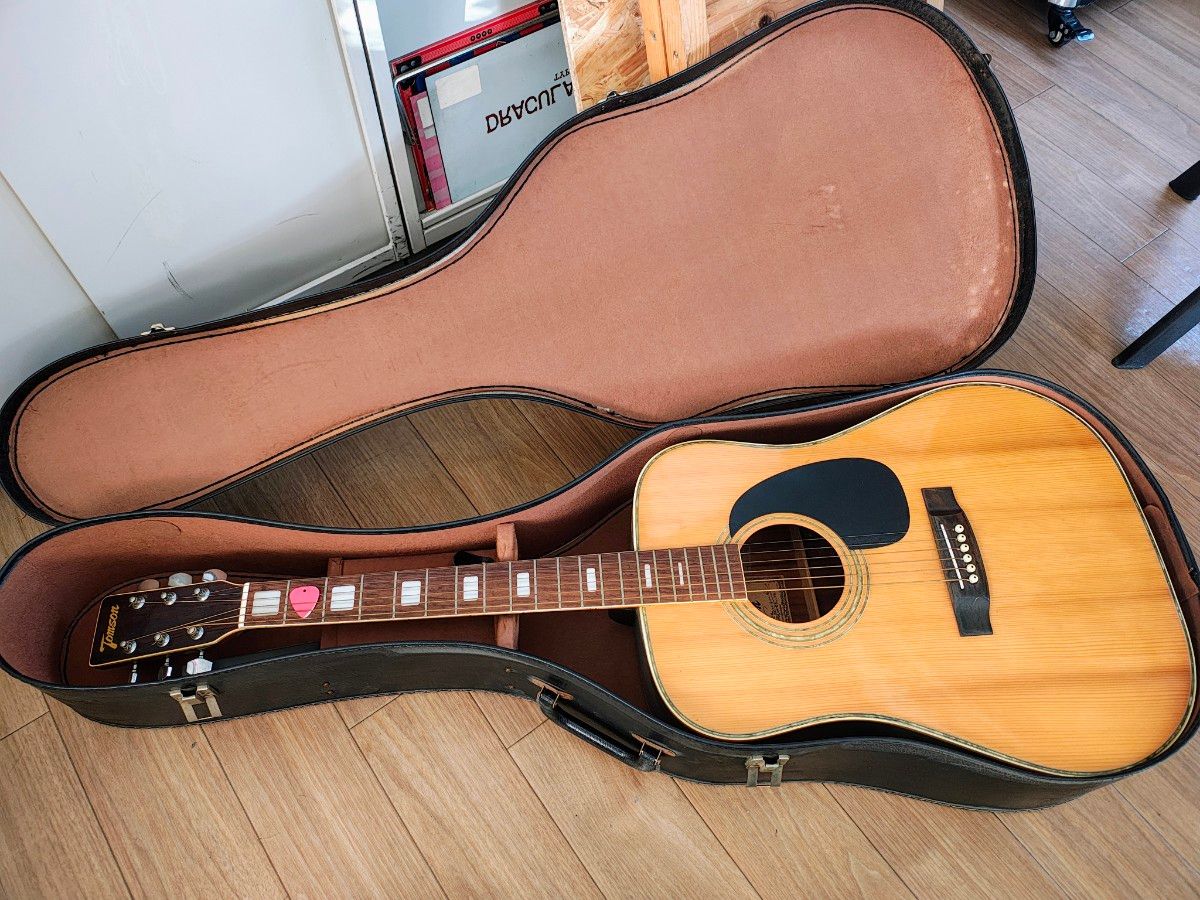 トムソン アコースティックギター GW-25 ブラウン Tomson トムソン
