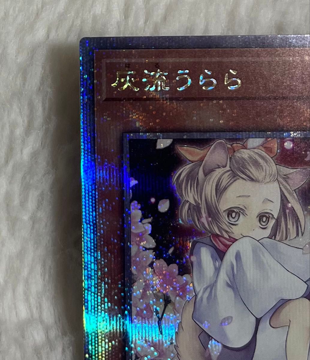 遊戯王 灰流うらら 25th 絵違い アーコレ｜Yahoo!フリマ（旧PayPayフリマ）