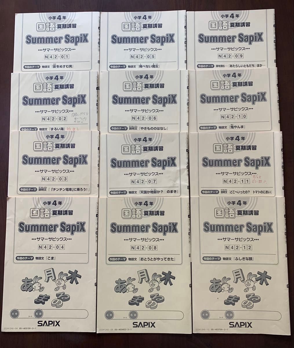 SAPIX 小学4年 国語 夏期講習全12回分セット サマーサピックス 中学