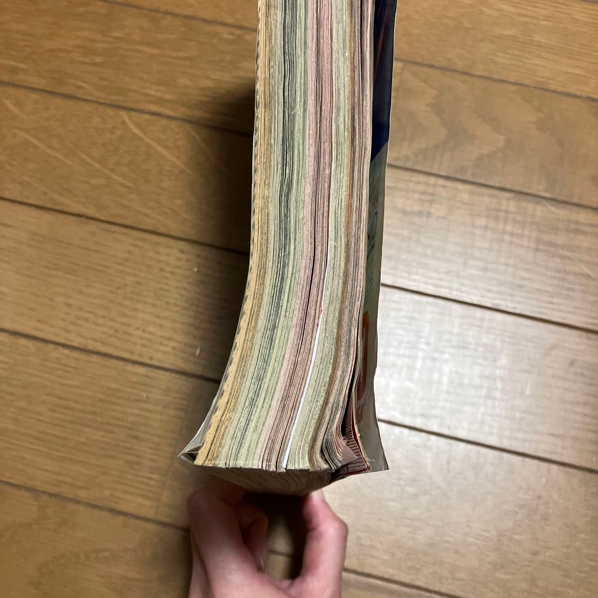 ジャンプ 1998年 29号 ワンピース｜Yahoo!フリマ（旧PayPayフリマ）