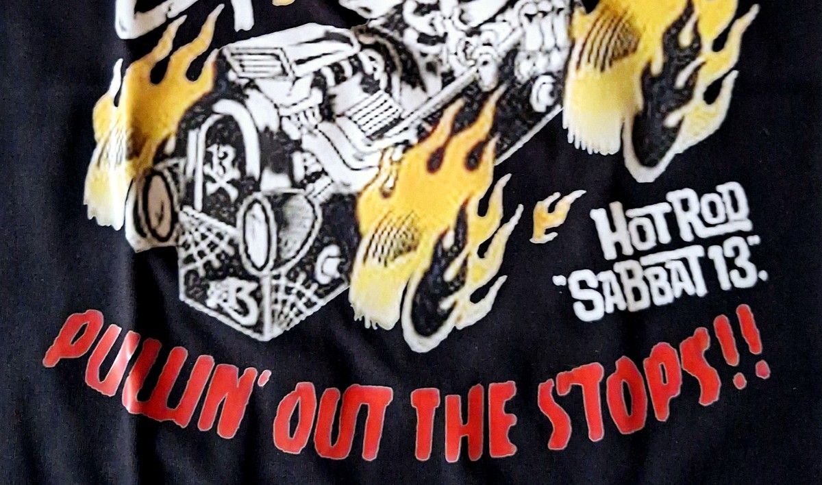 エルレガーデン ELLEGARDEN ホットロッドスカル Tシャツ Mサイズ