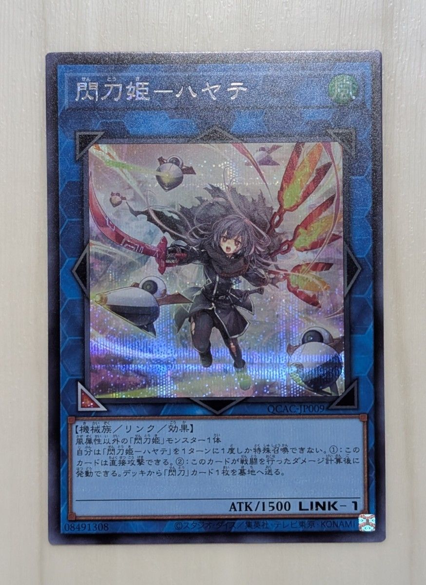 ARS10 閃刀姫 レイ 閃刀姫 ハヤテ 絵違い アートコレクション PSA10