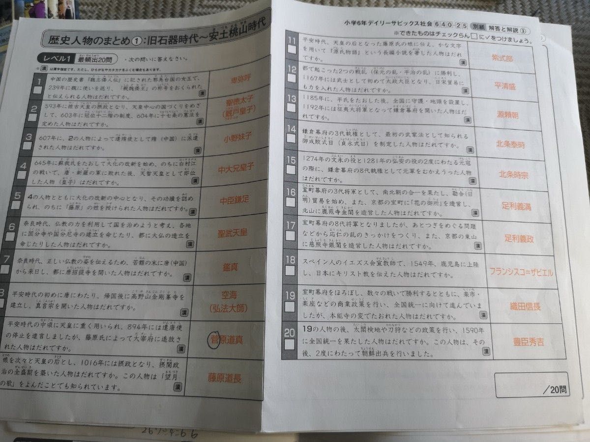 SAPIX 2023年 6年 社会 テキスト デイリーサピックス + 土特 weekly