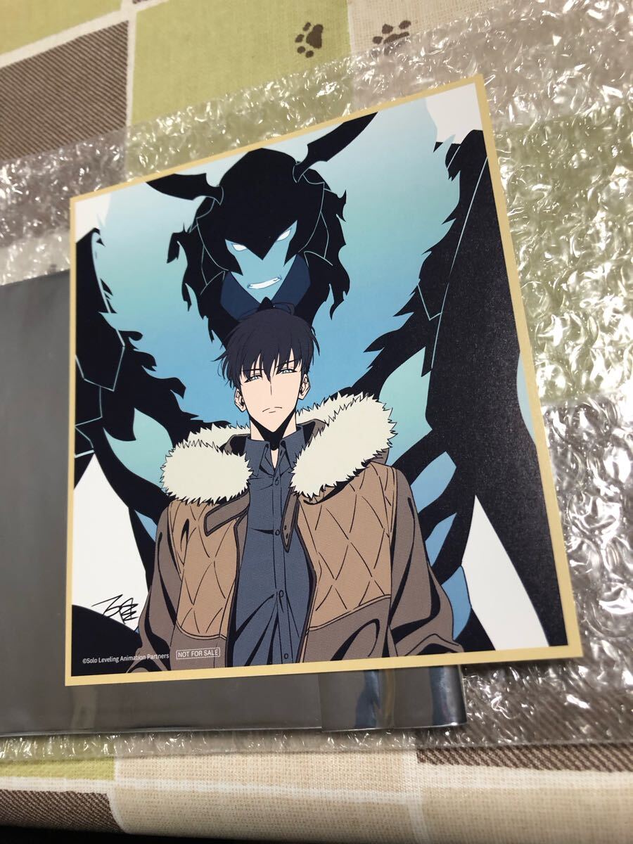 PRカード 俺だけレベルアップな件 トレカ ソロレベリング 韓国正規品