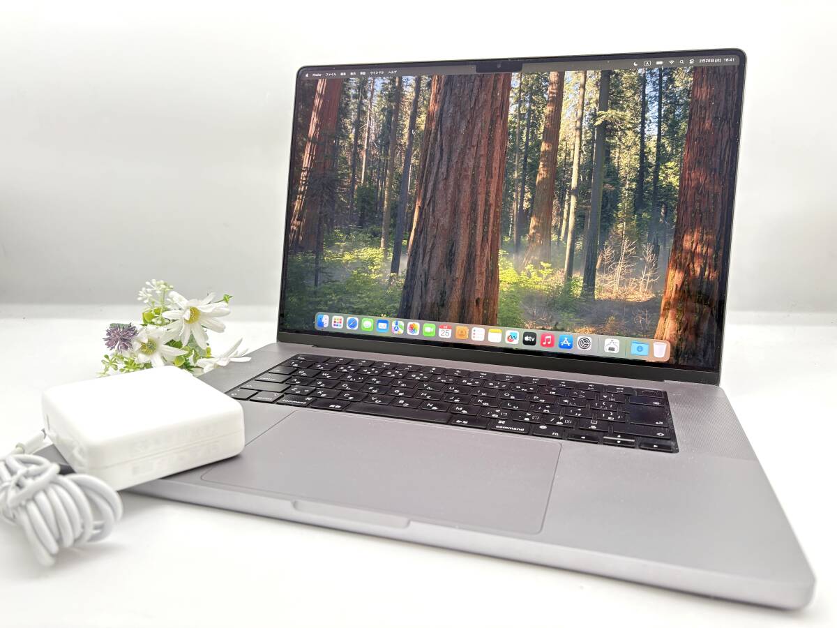 Macbook 完全ジャンク Apple MacBook Pro A1260 2008 pro A1260 early
