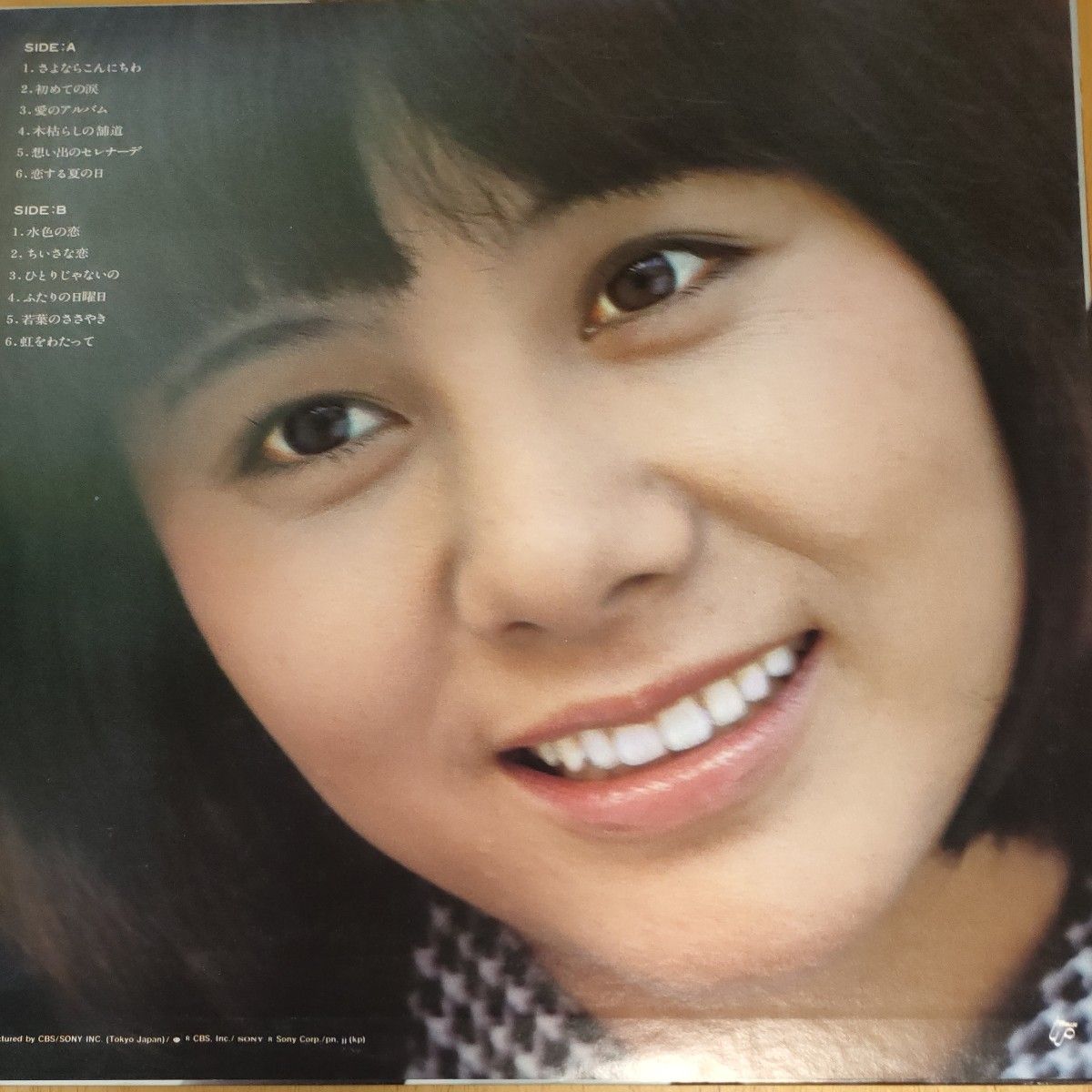 天地真理/BEST HITS LPレコード｜Yahoo!フリマ（旧PayPayフリマ）