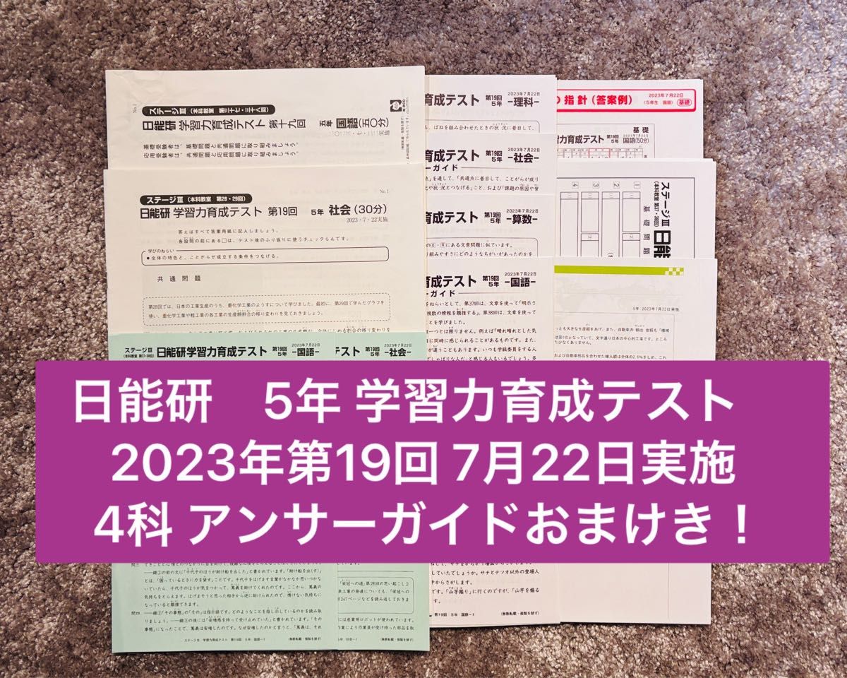 2023年6年前期 学習力育成テスト ステージⅣ 春期、夏期講習 最新2024