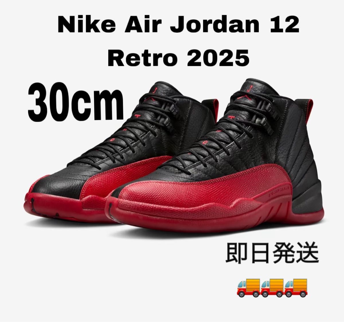 Nike Air Jordan 12 Retro 