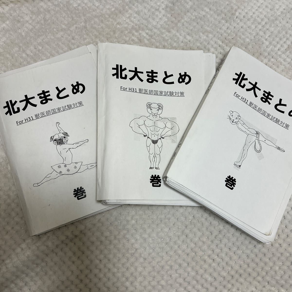 北大まとめ 獣医 上中下 H31 獣医師国家試験対策｜Yahoo!フリマ（旧