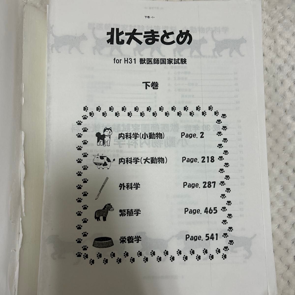 北大まとめ 獣医 上中下 H31 獣医師国家試験対策｜Yahoo!フリマ（旧