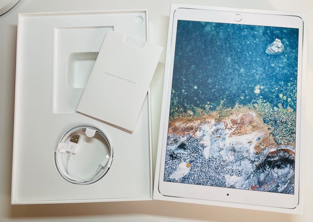 iPad Pro 10 5 インチ Wi-Fiモデル 64GB シルバー バッテリー85