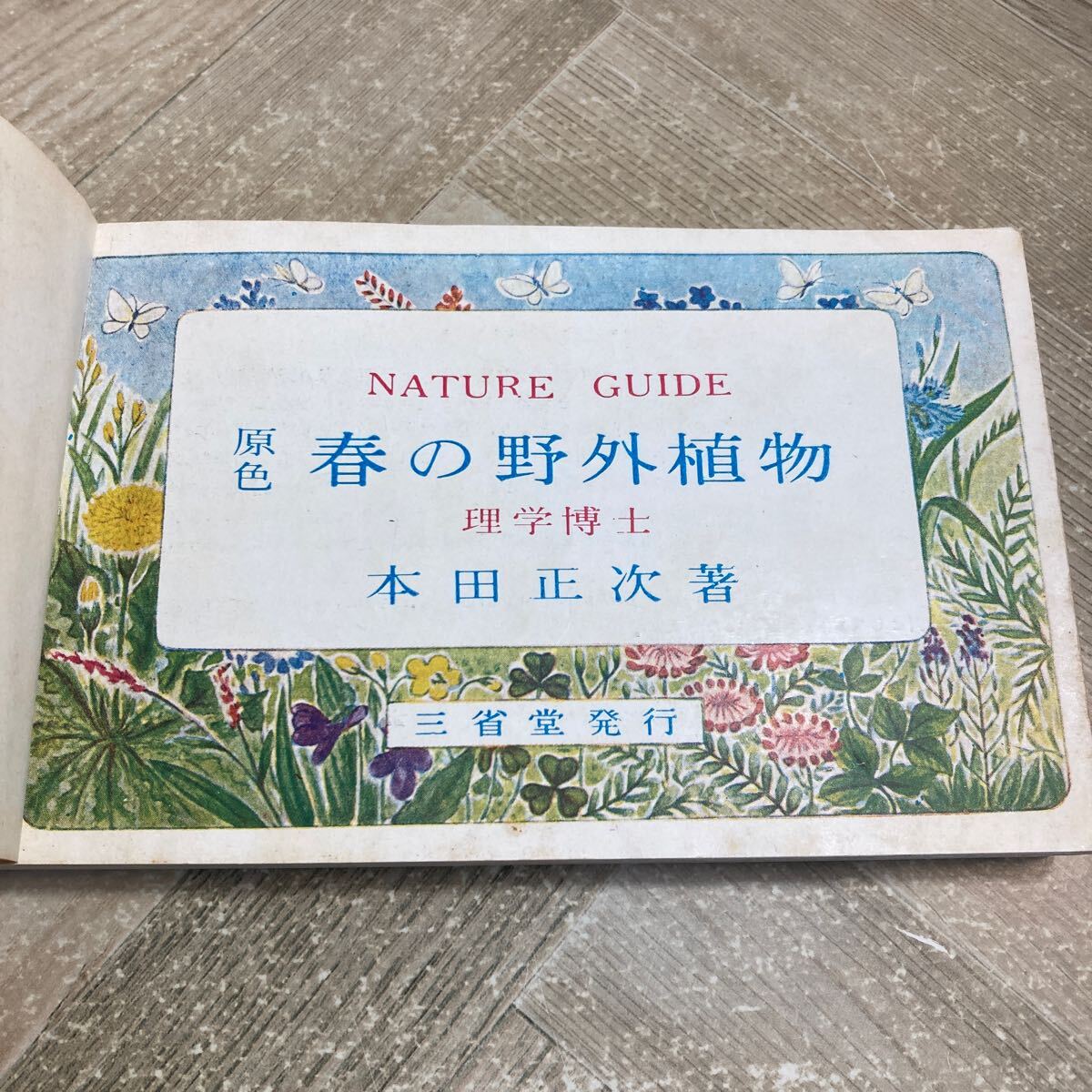 Yahoo!オークション - 303r 古書 NATURE GUIDE 原色 春の野外植物 夏の