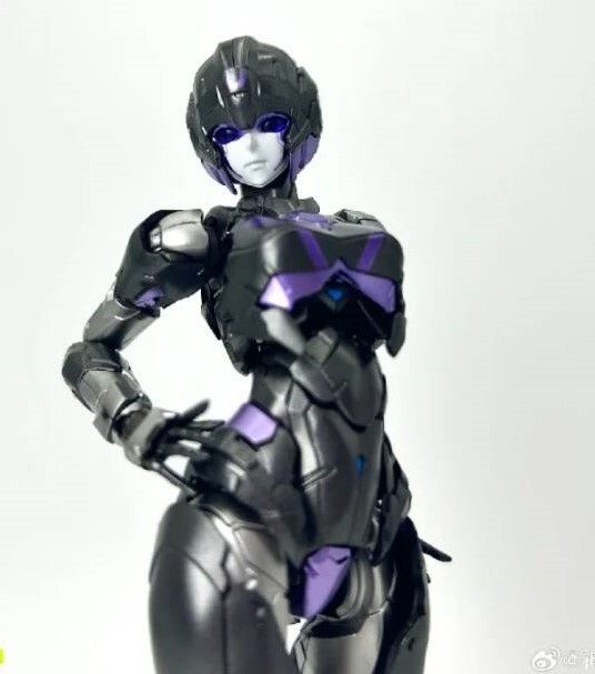 海外限定】トランスフォーマー アーシー ブラック 風雷模型 プラモデル