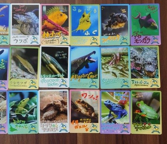 鳥羽水族館 コレクションカード 72枚セット ノーマルコンプリート