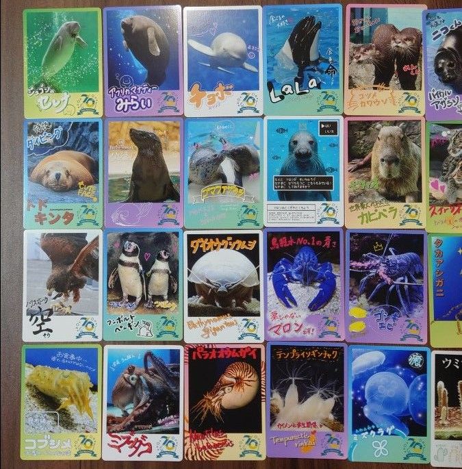 鳥羽水族館 コレクションカード 72枚セット ノーマルコンプリート