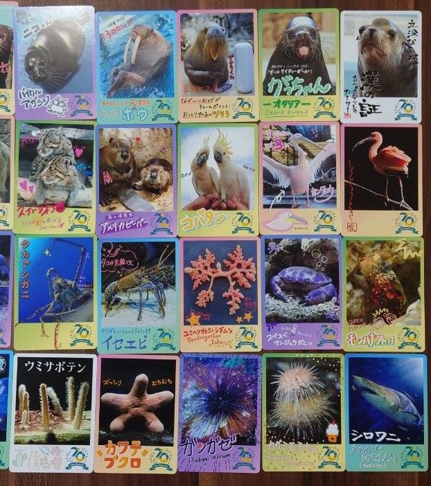 鳥羽水族館 コレクションカード 72枚セット ノーマルコンプリート
