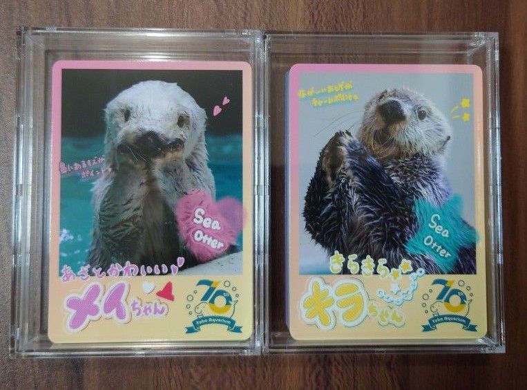 鳥羽水族館 コレクションカード 72枚セット ノーマルコンプリート