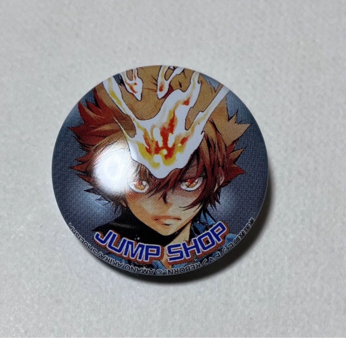 REBORN!】沢田綱吉 ツナ たまっぷ 缶バッジコレクション リボーン