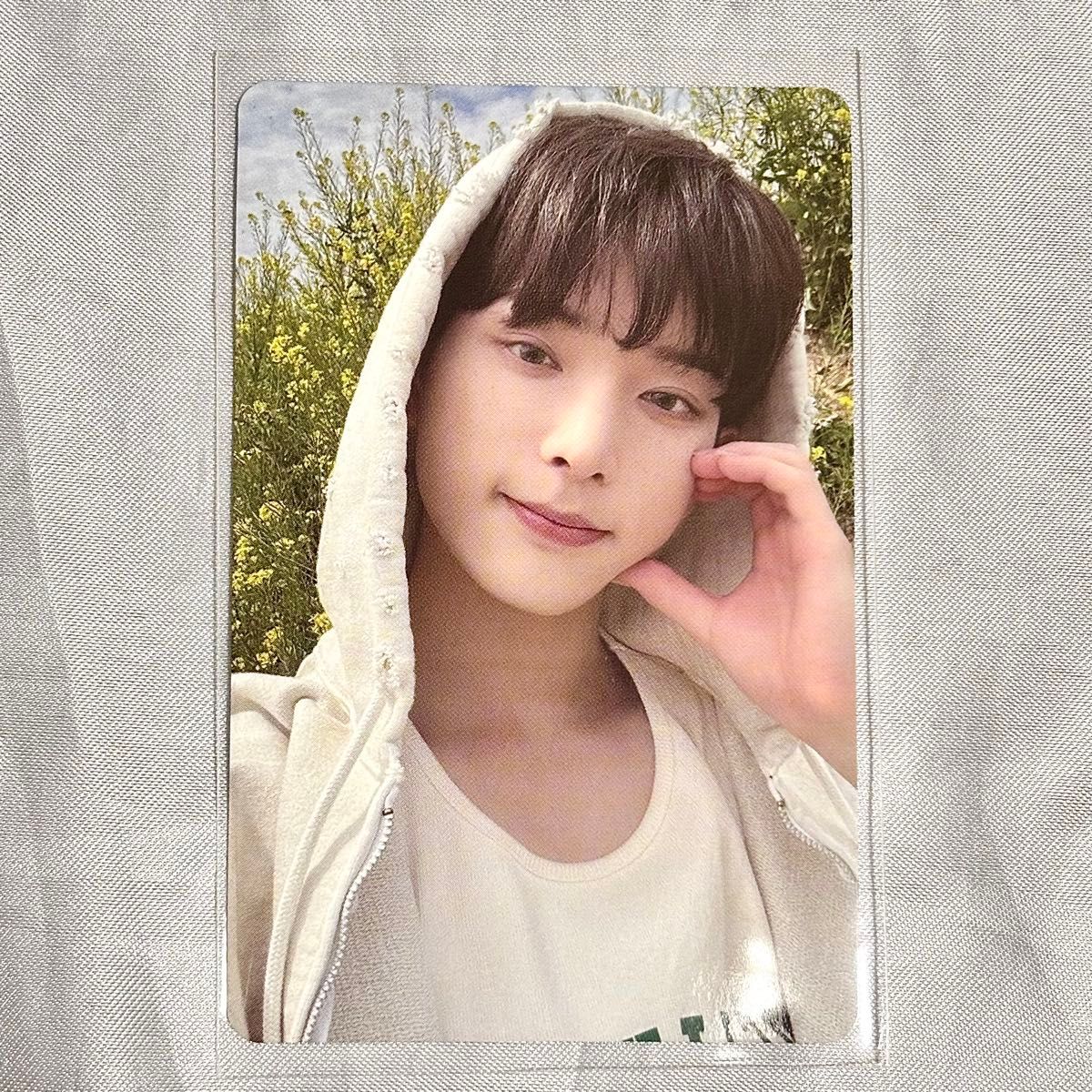 &TEAM ハルア 縁DAY トレカ｜Yahoo!フリマ（旧PayPayフリマ）