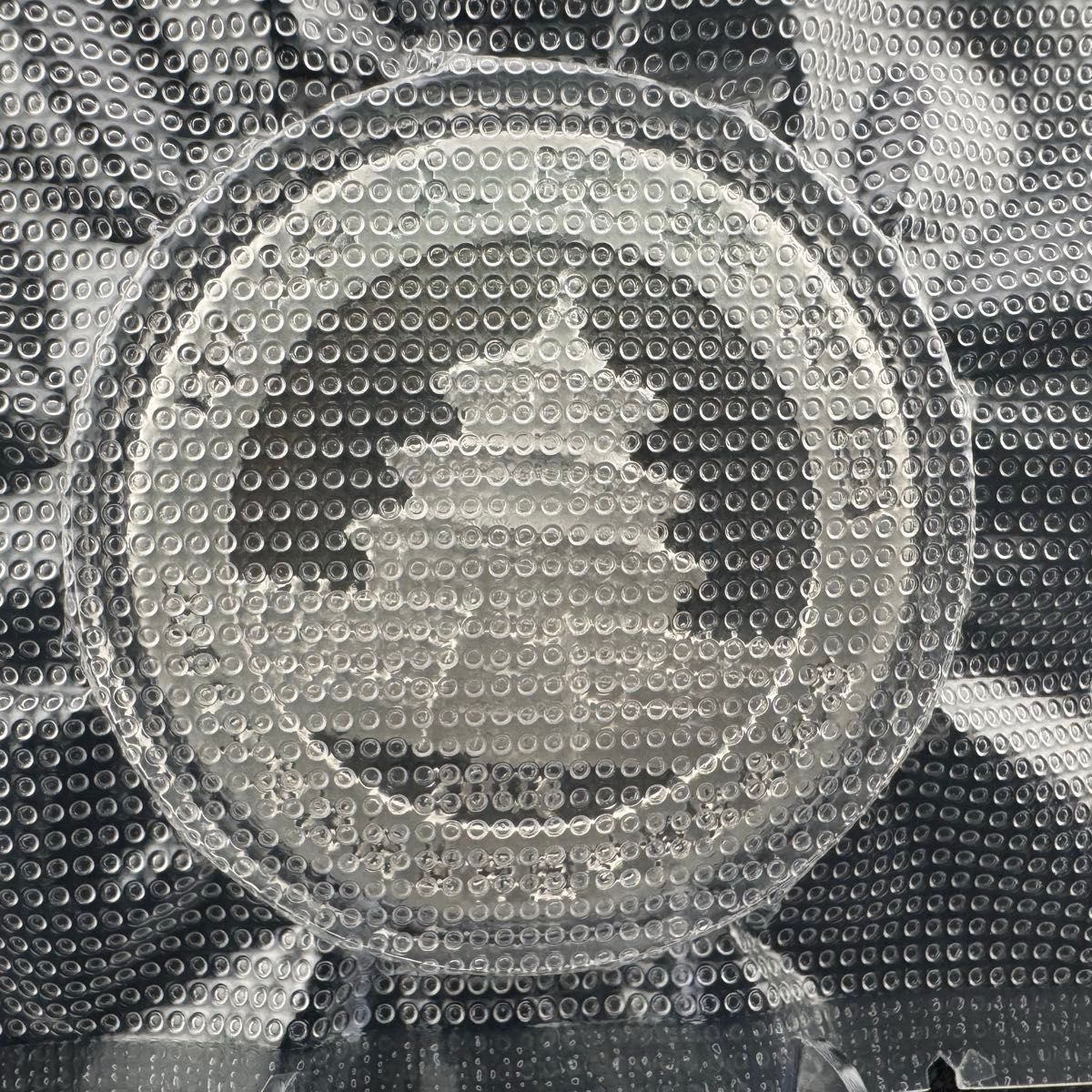 珍品 銀貨 中国 パンダ銀貨 2006年 純銀 コインカプセル付き 1オンス