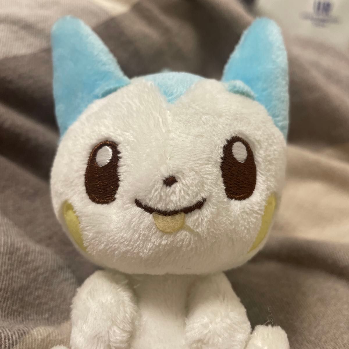 ポケモン パチリス ポケモンキャンバス ぬいぐるみ ポケモンセンター