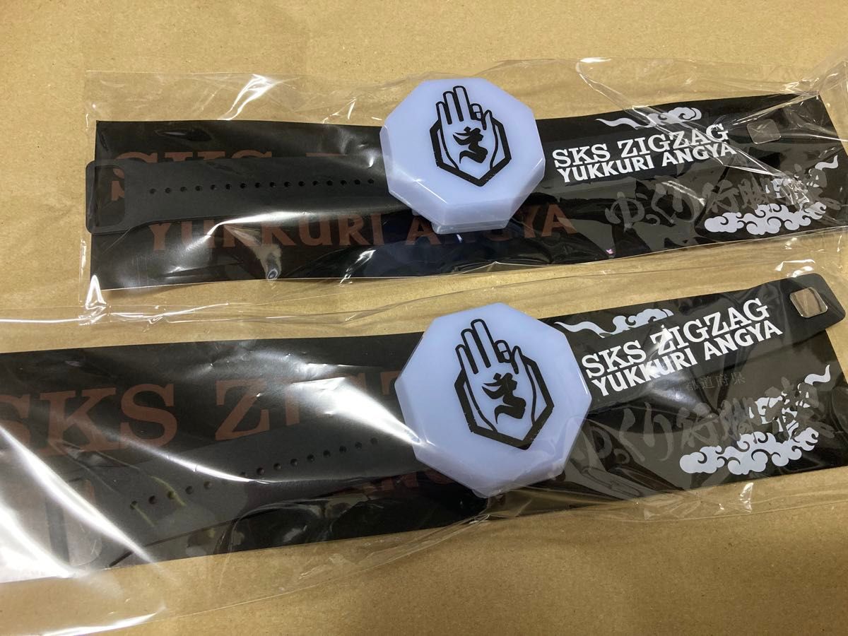 SKS ZIGZAG ゆっくり行脚禊 ブレスライト 腕ノ光 真天地開闢集団