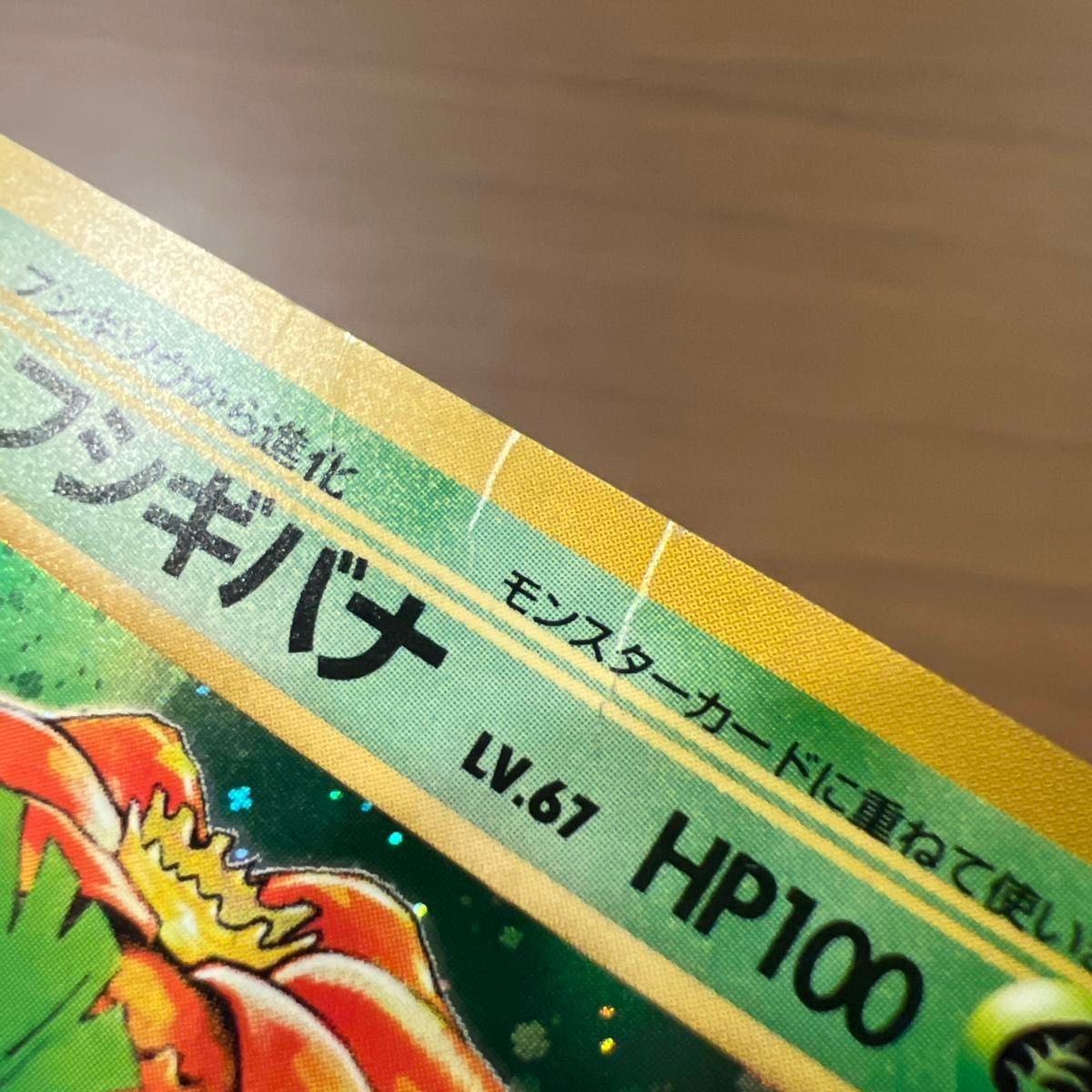 旧裏 全面ホロ】フシギバナ 第1弾拡張パック 全面ホロ 旧裏 フシギバナ