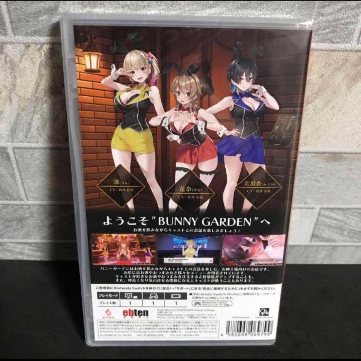 新品未開封 バニーガーデン Switch 日本語版 NINTENDOSwitch