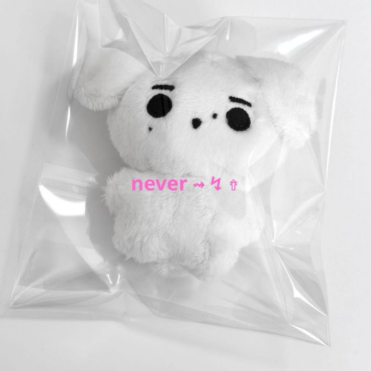 ENHYPEN ソンフン ぬいぐるみ 10cm ①｜Yahoo!フリマ（旧PayPayフリマ）