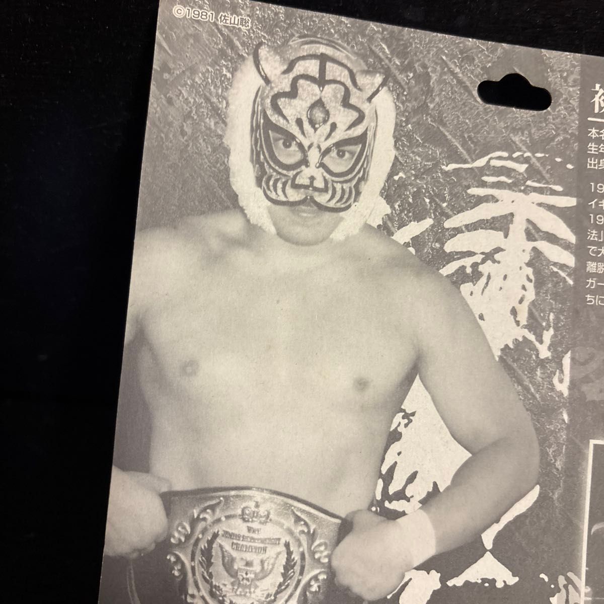 初代 タイガーマスク 佐山聡 佐山サトル フィギュア キャラクター