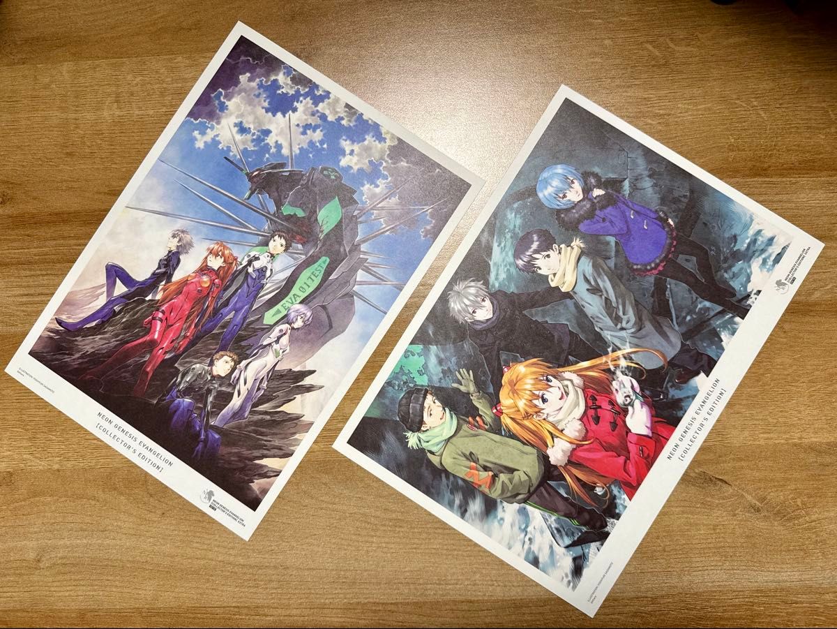 新世紀エヴァンゲリオン 愛蔵版 特典 複製原画 2枚セット A4サイズ
