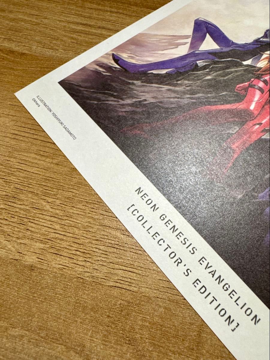 新世紀エヴァンゲリオン 愛蔵版 特典 複製原画 2枚セット A4サイズ