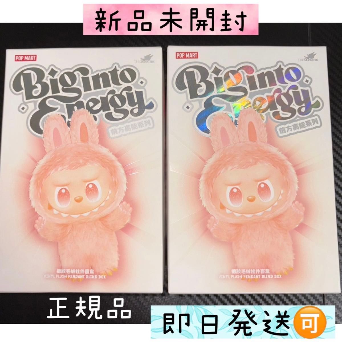 POPMART THE MONSTERS Big into Energy Labubu ラブブ ビッグイントゥ