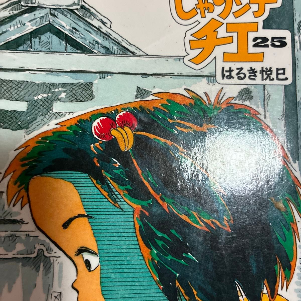 じゅっじゅっじゅう 双葉文庫800円版 はるき悦巳「じゃりン子チエ」24