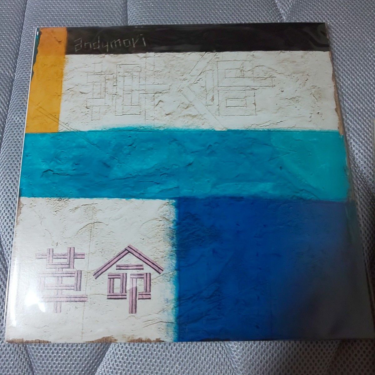 andymori アンディモリ レコード 5枚セット｜Yahoo!フリマ（旧PayPay