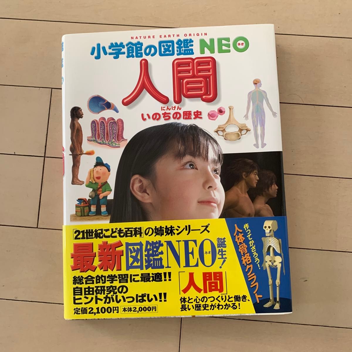 人間 いのちの歴史 （小学館の図鑑NEO 13） 松村譲児／〔ほか