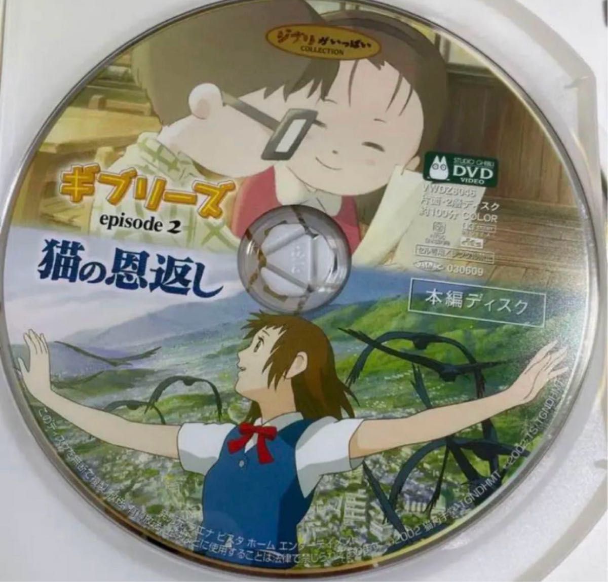 こちらはスタジオジブリ9作品のセットです 全てDVDの本編ディスクです