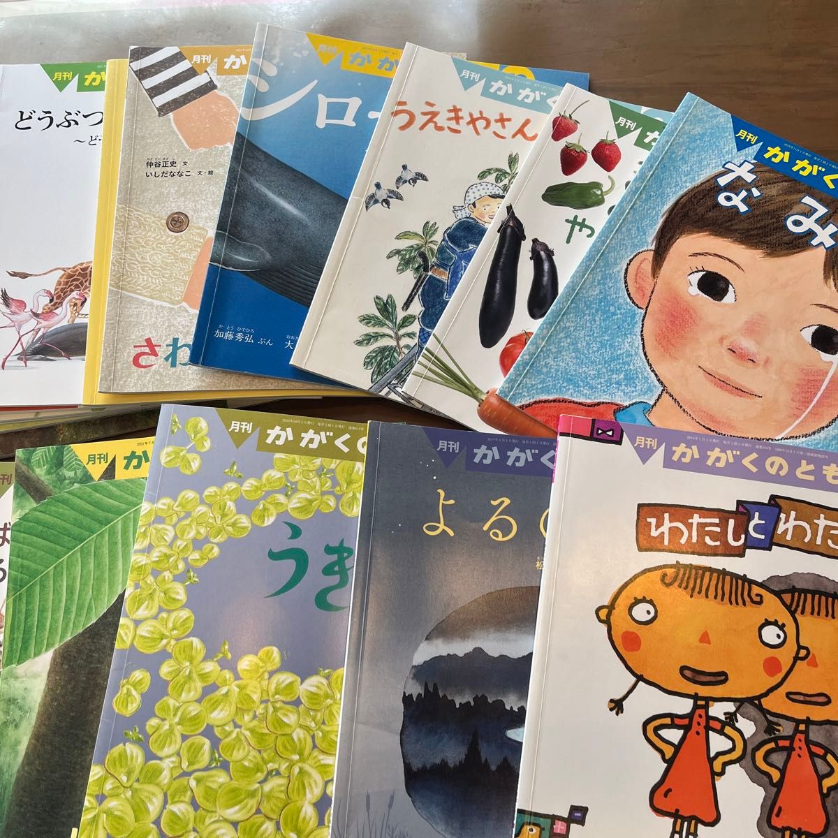 福音館書店 絵本セット かがくのとも傑作集など 5～6才向け