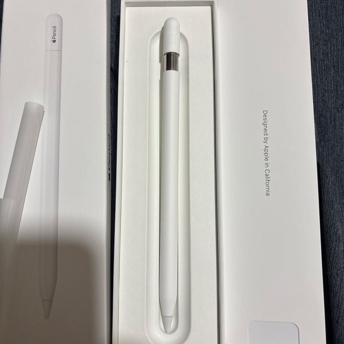 Apple Pencil（USB-C） アップルペンシル 開封済 Apple Pencil