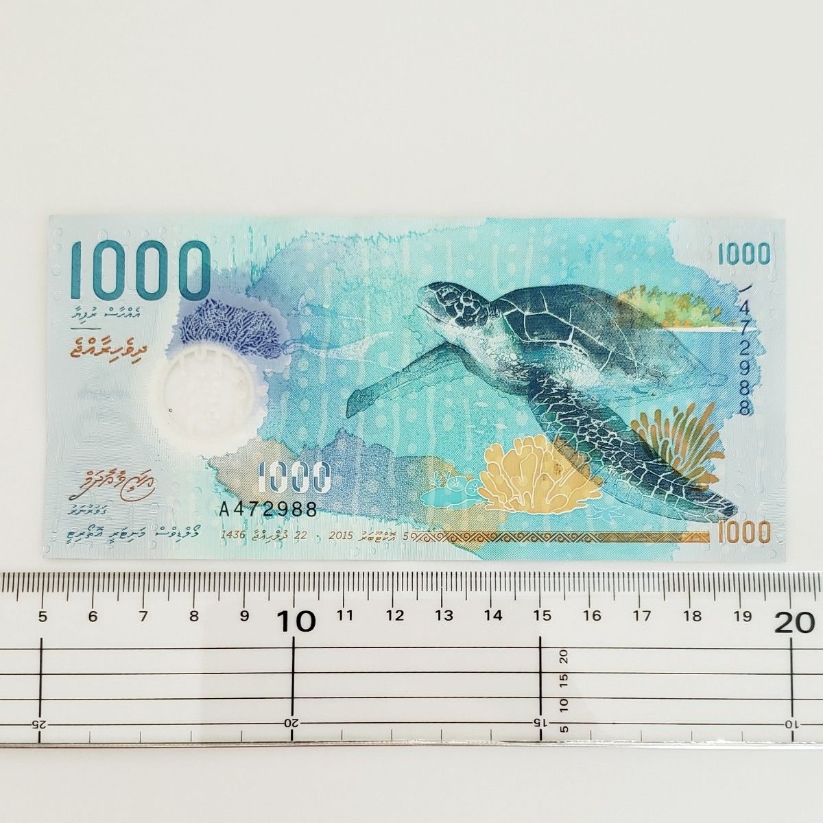 モルディブ 1000Rufiyaa 1000ルフィア紙幣 ジンベイザメ ウミガメ 希少