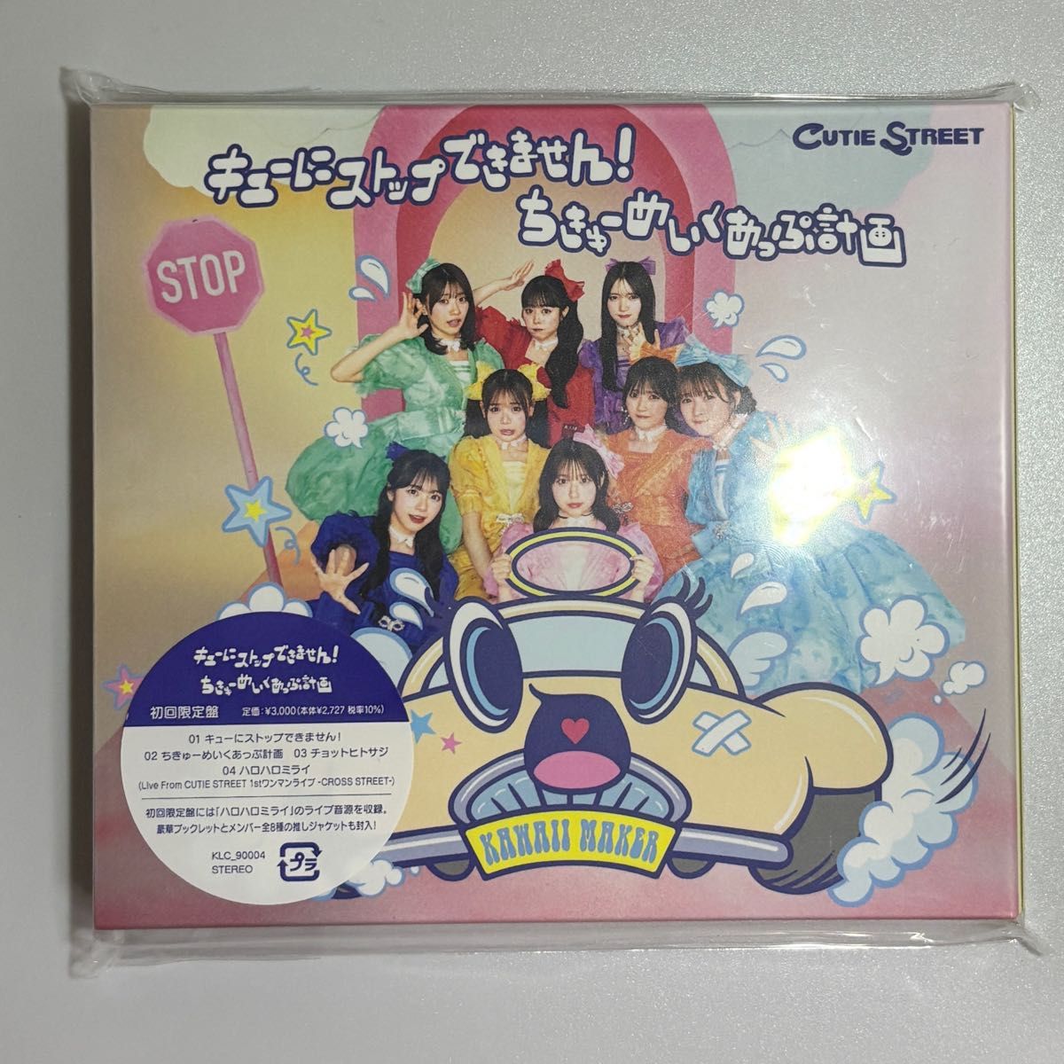 CD100枚のセットです。店舗動画用の著作権フリー 「-至極の癒しに包