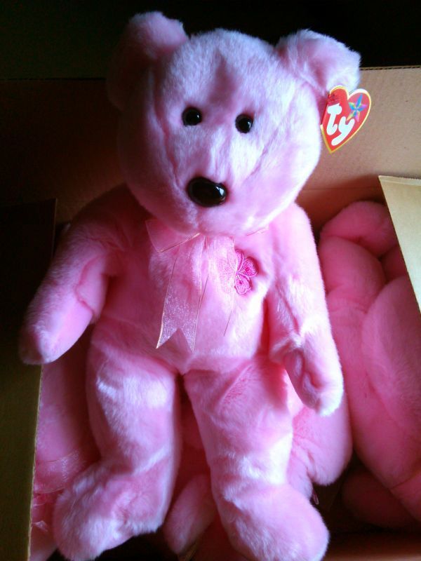 ty ビーニーベイビーズ バディ コレクション 6体セット Beanie