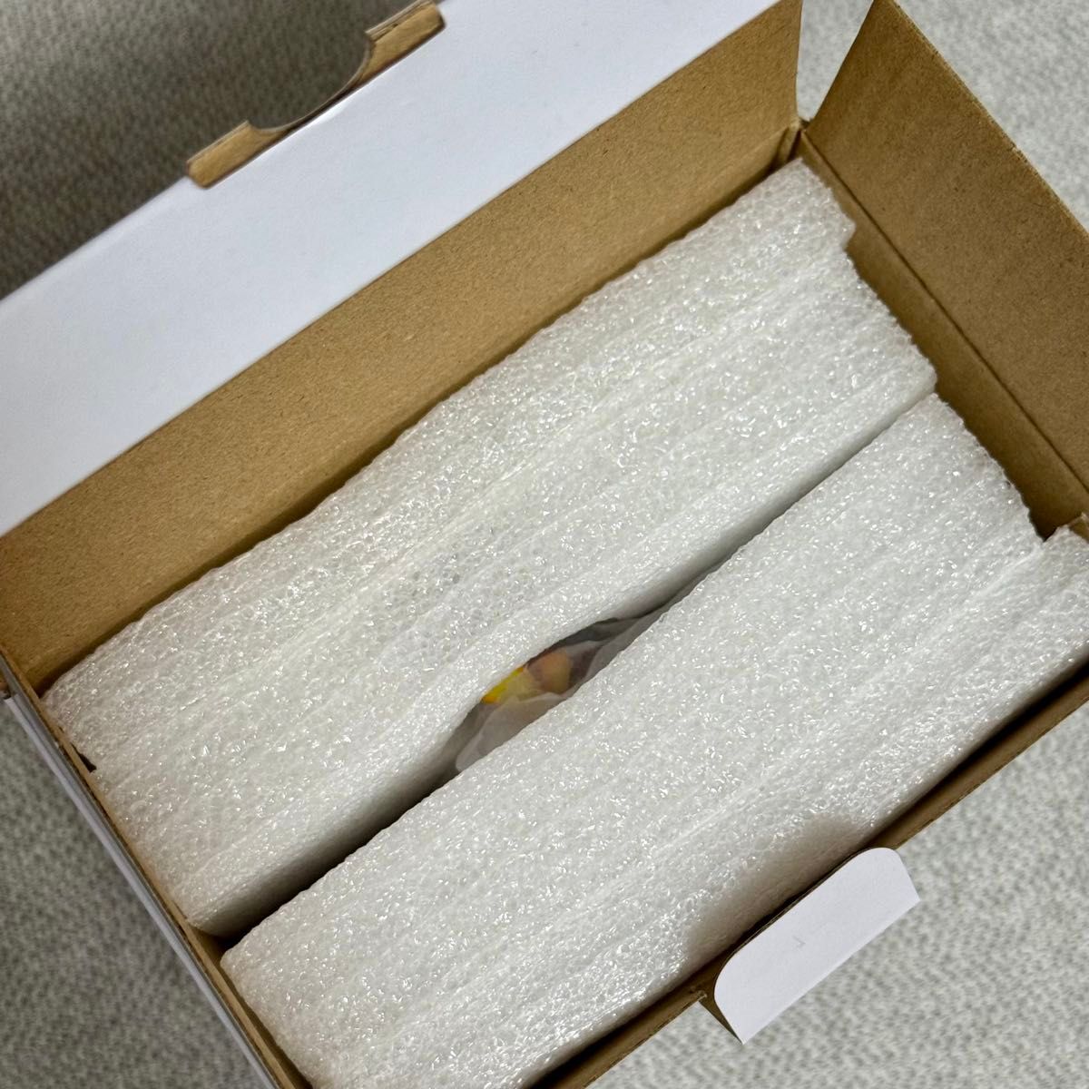 海外限定】 ホゲータ クリスマスオーナメント 2024年限定 ポケモン