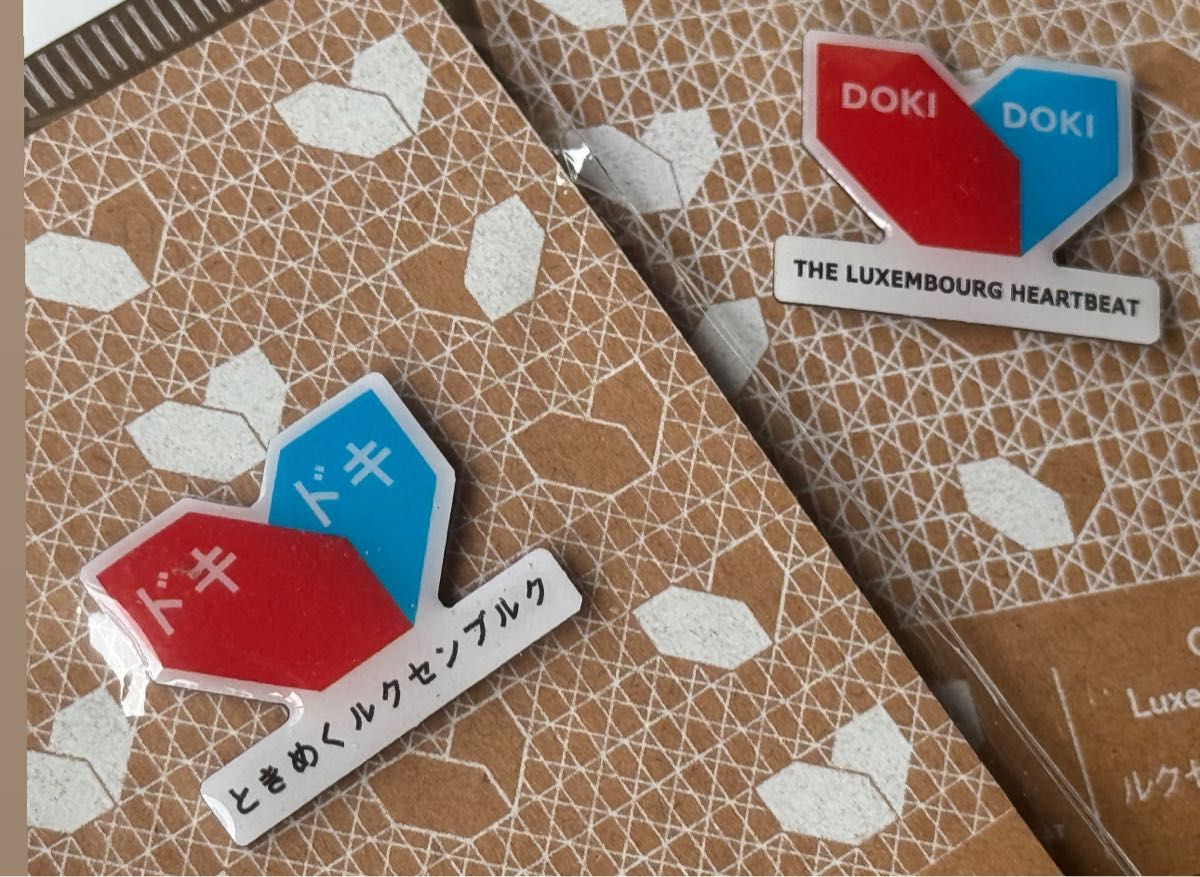 大阪・関西万博 Expo 2025 ルクセンブルク 公式 ピンバッジ ピンズ