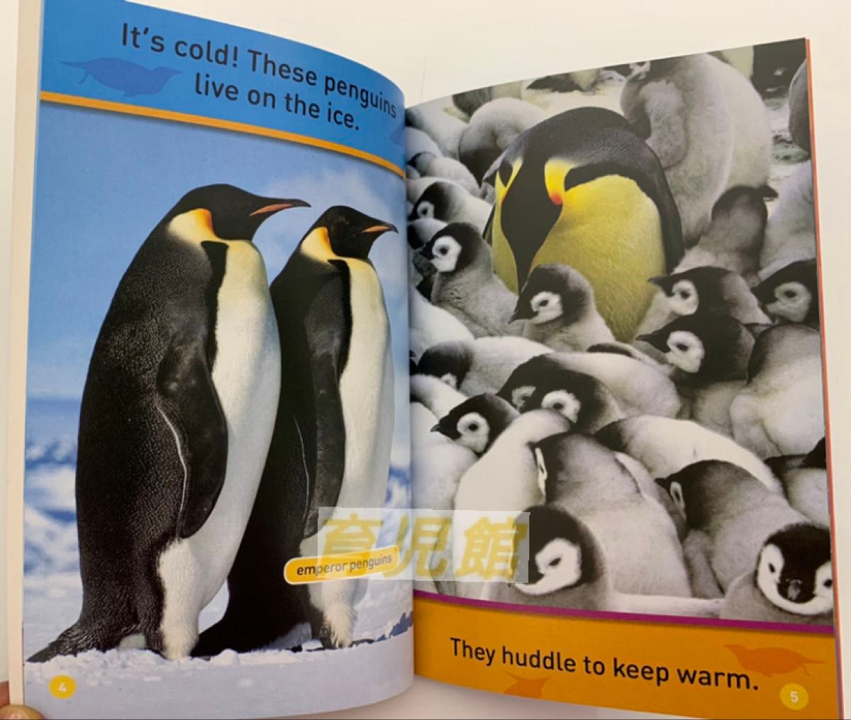 National Kids Geographic 155冊 色のえほん マイヤペン対応 National